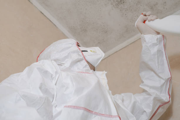 Best Crawl Space Mold Removal  in China Lake Acres, CA